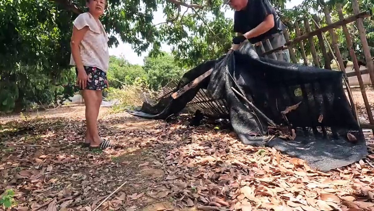 Was für ein Tag! Der ganz normale Wahnsinn!