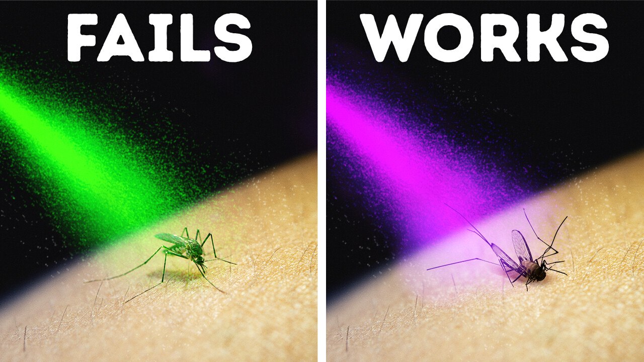 Shocking Hidden Truths and Details You Need to Know Today!