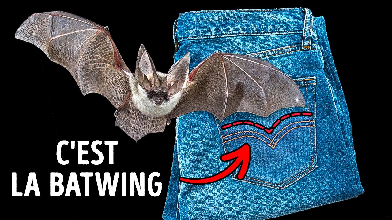 Ces faits feront de vous le parfait brise-glace à n'importe quelle fête