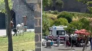Diyarbakır’da piknik yapanların arasına at daldı: 1’i çocuk, 2 yaralı