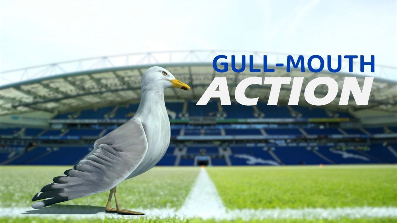 Gull-Mouth Action: Crawley halfway to Wembley, Albion win at last