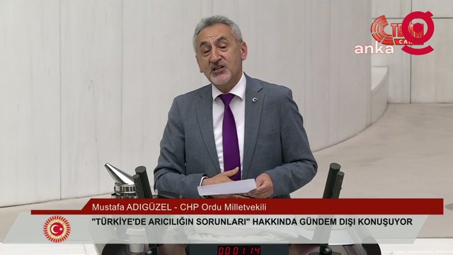 Meclis'te ilginç anlar: CHP'li Adıgüzel arıcı kıyafeti giyerek konuştu