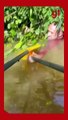 Resgate - Bombeiros de Maringá que estão ajudando no socorro das vítimas das enchentes no Rio Grande do Sul resgataram um idoso que estava agarrado em uma árvore e quase coberto pela água. Profissionais integram