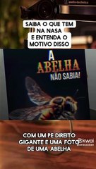 "Nunca diga que vc não nasceu com um talento"