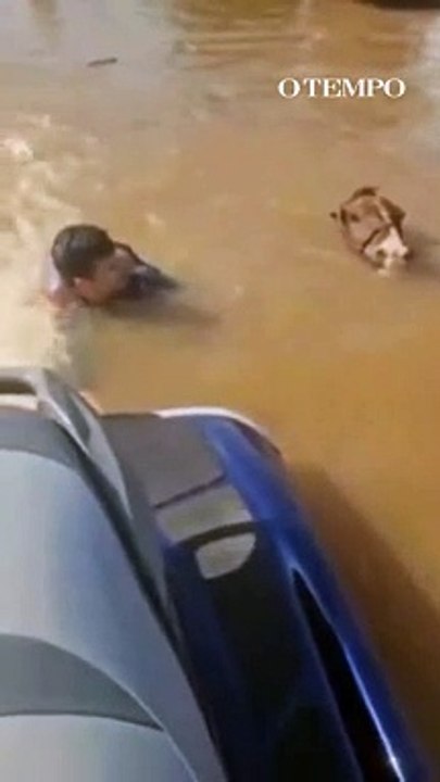 Vice-prefeito de Santo Antônio da Patrulha resgata cavalo ilhado em enchente