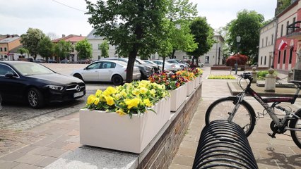 Olkusz: Odnowiony Rynek z Nową Zielenią 🌳