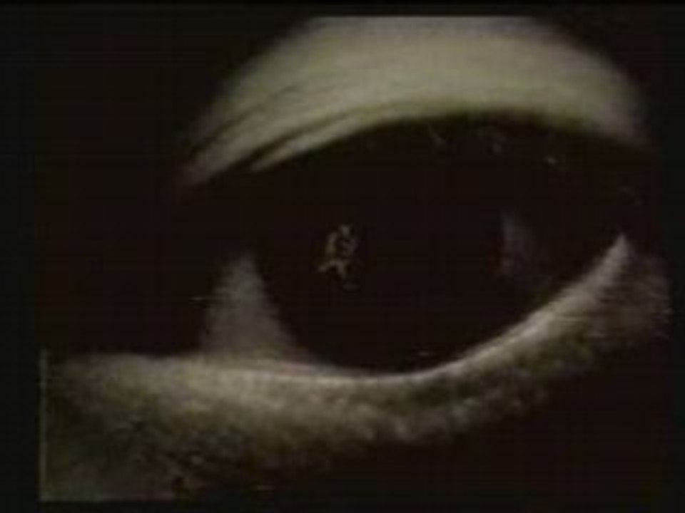 RING - La K7 maudite