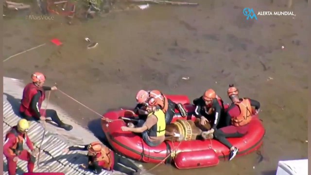 ¡El caballo varado en un techo en Canoas, Rio Grande do Sul, fue rescatado!