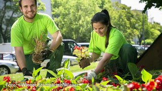 Die Wiener Stadtgärten starten mit der Auspflanzung der diesjährigen Sommerblumen