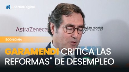 El presidente de la CEOE ha criticado las reformas de desempleo