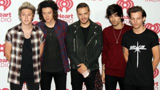 Zayn Malik: One Direction resented each other