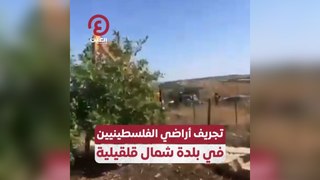 تجريف أراضي الفلسطينيين في بلدة شمال قلقيلية