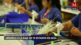 Actividad industrial registra baja en 19 estados de México este 2024