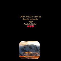 UNA CAREZZA  GENTILERodolfo Vettorello LeggeRodolfo Vettor ♥️♥️♥️