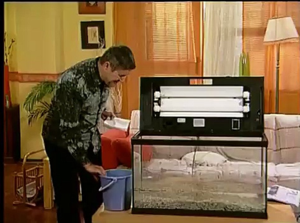 La Bloc Ep. 520 - Peștișorul De Aur