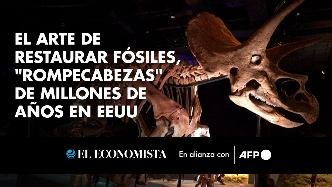 El arte de restaurar fósiles, "rompecabezas" de millones de años en EEUU