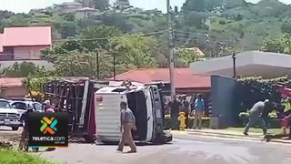 tn7-incidente-camion-ganadero-la-guacima-de-alajuela-090524