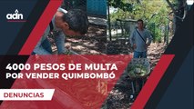 4000 pesos de multa por vender quimbombó