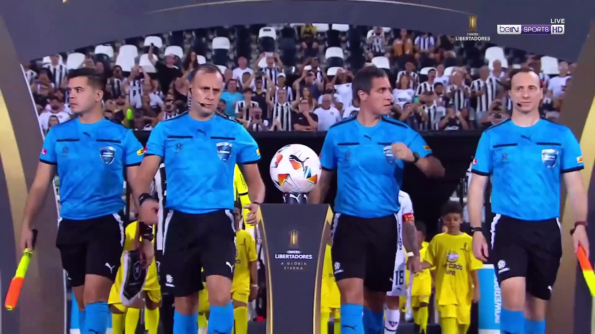 Botafogo (BRA) vs LDU