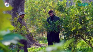 Fanaa Episode 24   Shahzad Sheikh, Nazish Jahangir l Aijaz Aslam l Shaista Lodhi   Green TV