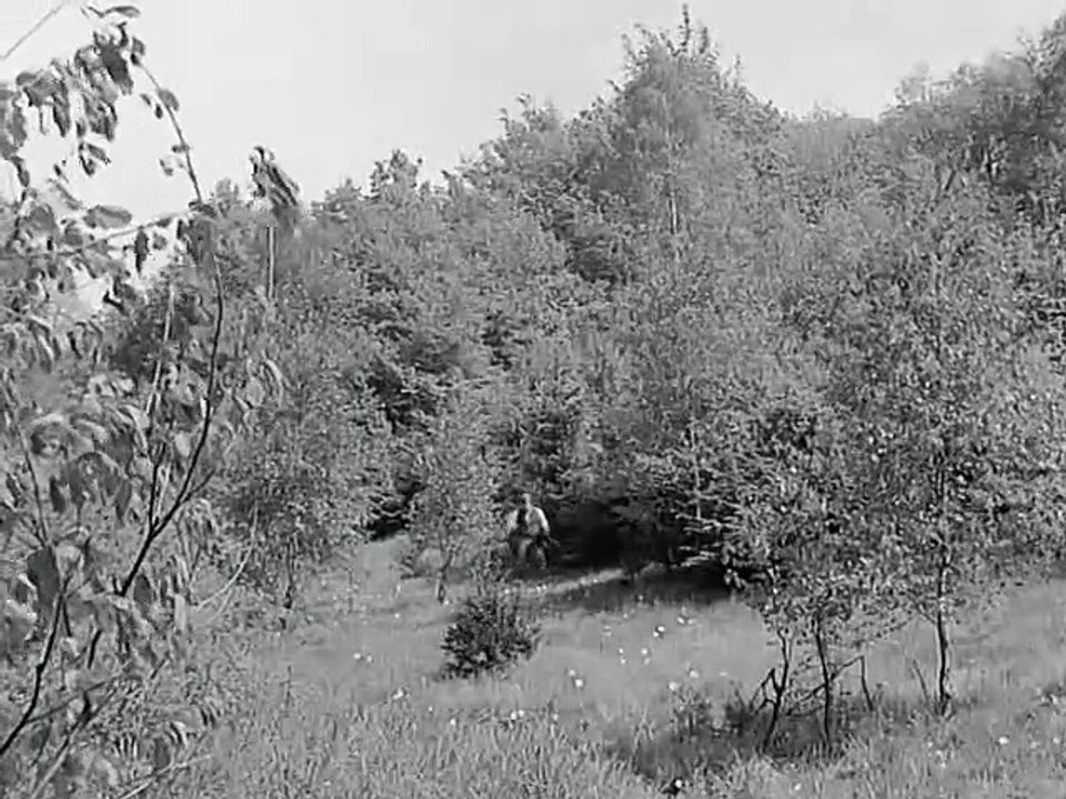 Stülpner-Legende (1973) - Das Schießen