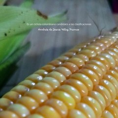 -ANDRÉS DE JESÚS VÉLEZ FRANCO- NAIRO QUINTANA EL GIRO DE ITALIA (PARTE 1) (@AndresdeJesus90)