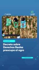 Decreto sobre Derechos Reales preocupa al agro