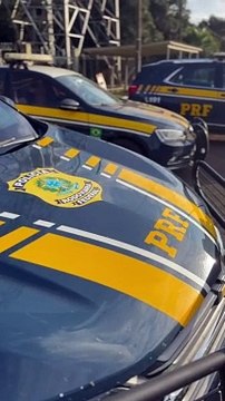Maconha em mochilas: PRF apreende 33kg em ônibus na BR-277