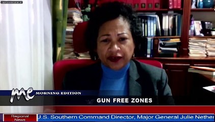 GUN FREE ZONE EXPANSION 'OVERKILL'