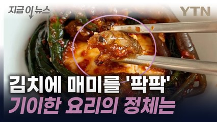 미국에 1,000조 매미 등장! 매미를 활용한 독특한 요리법 공개 🍽️
