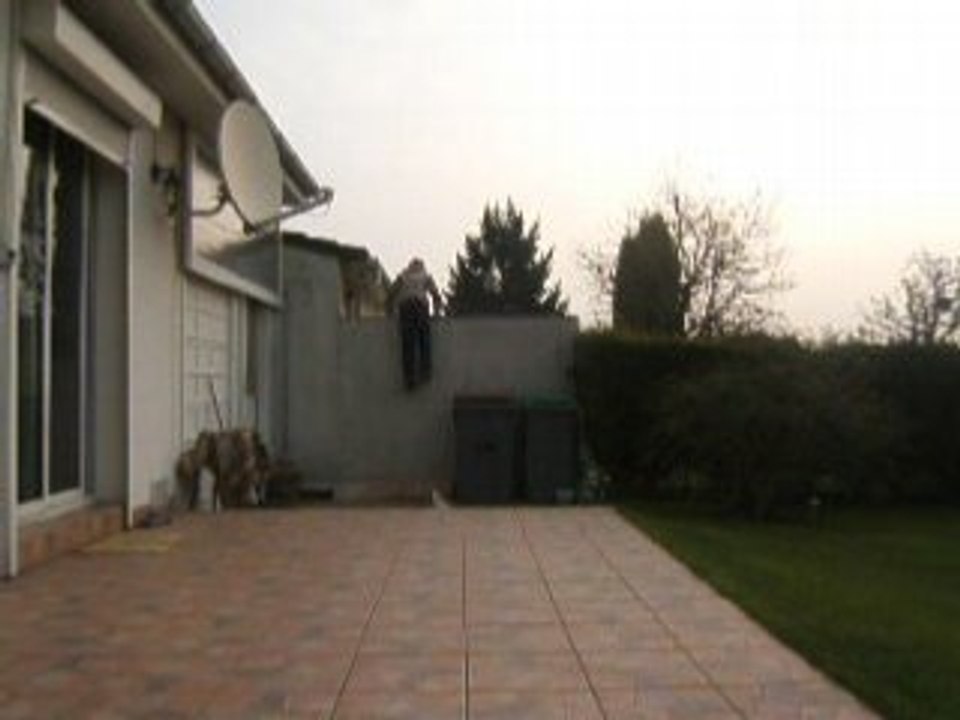 Passe muraille