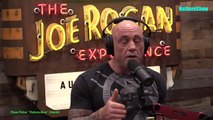 Episode 2148 Gad Saad - The Joe Rogan ExChris Distefanoperience Video - Episode latest update