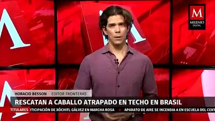 Rescatan a un caballo atrapado por las intensas lluvias en Brasil