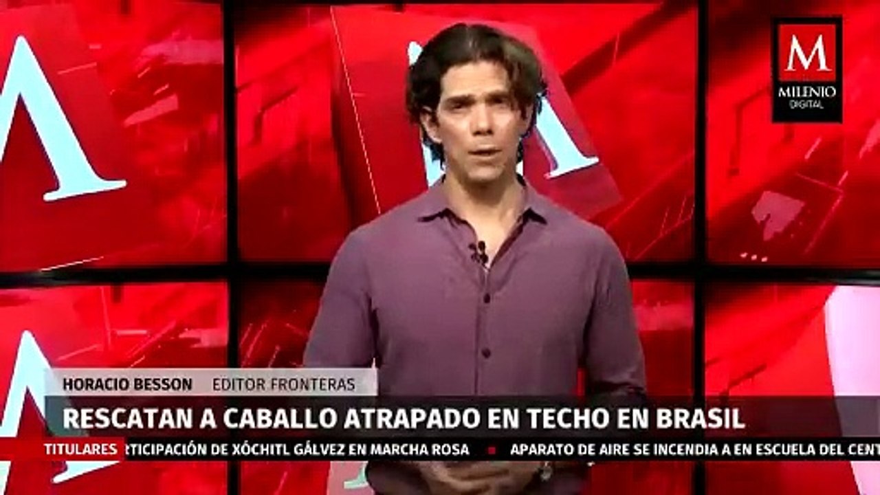 Rescatan a un caballo atrapado por las intensas lluvias en Brasil