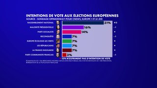 Sondage : le RN continue son ascension en vue des européennes, la majorité présidentielle poursuit sa chute