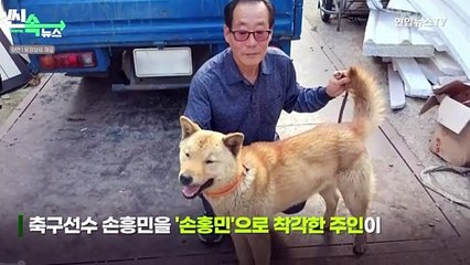 [씬속뉴스] 41일만에 20km 걸어 집 찾아온 진돗개…"내가 그래서 널 키웠나보다"