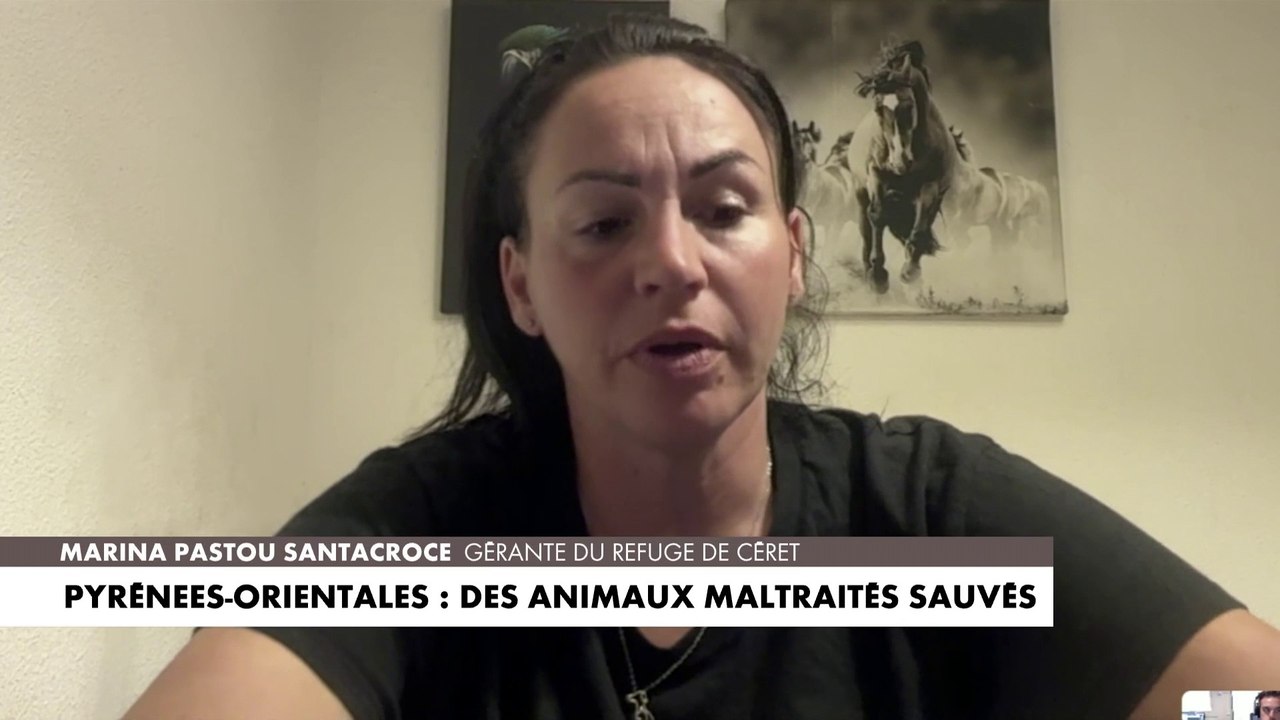 Pyrénées-Orientales : des animaux maltraités sauvés