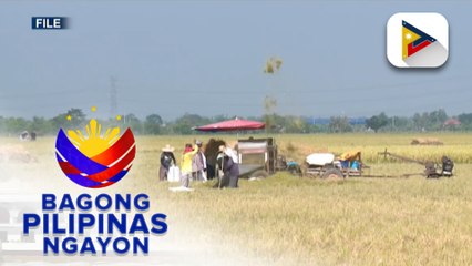 Production value ng sektor ng agrikultura, tumaas sa first quater ng 2024