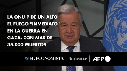 La ONU pide un alto el fuego "inmediato" en la guerra en Gaza, con más de 35.000 muertos