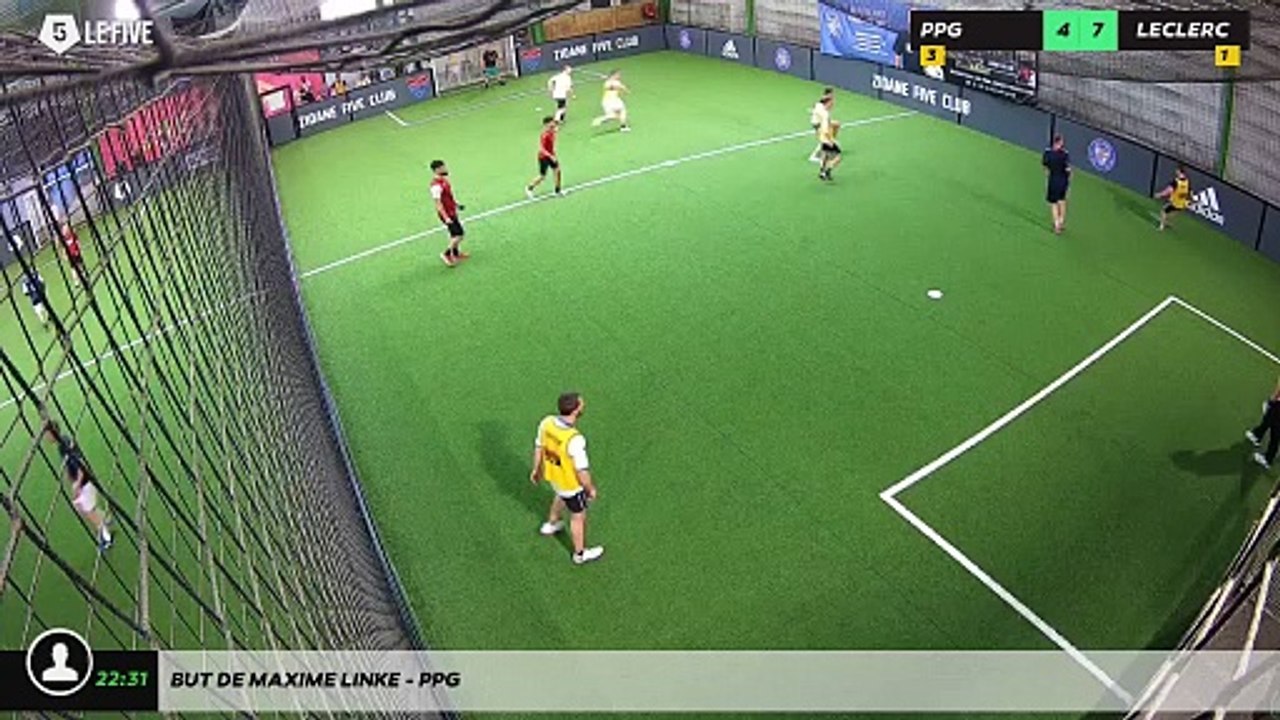 But de MAXIME LINKE - PPG