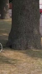 Century Products Overview