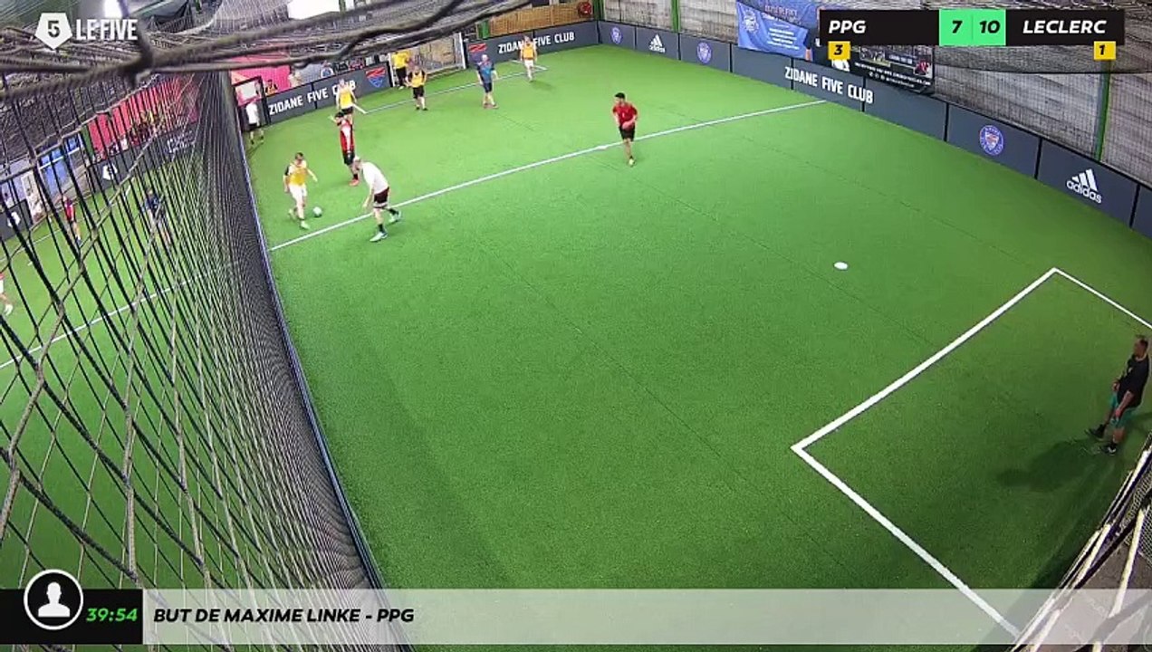 But de MAXIME LINKE - PPG