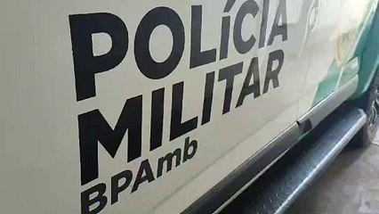 Polícia Ambiental apreende armas de fogo municiadas em Nova Olímpia
