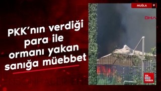 Bodrum'da PKK'nın verdiği para ile ormanı yakan sanığa 2 kez ağırlaştırılmış müebbet