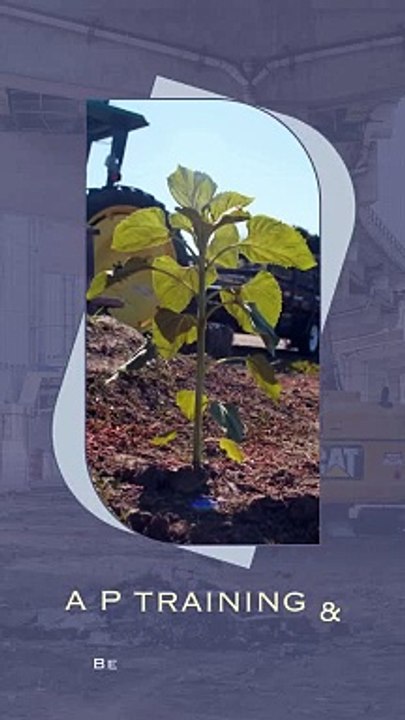 A P Training & Testing