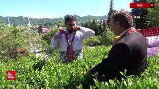 Çaykur Rizespor Teknik Direktörü İlhan Palut Rize'de çay topladı