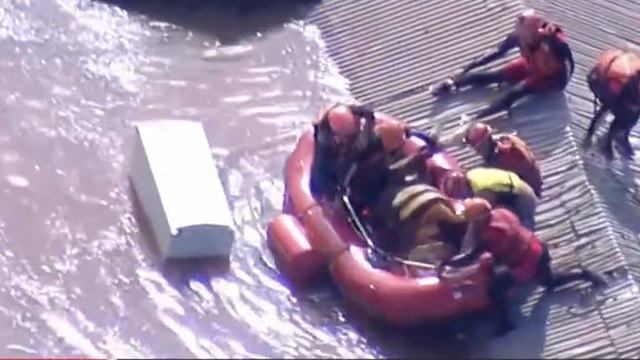 Au Brésil, ce cheval sauvé sur un toit est devenu un symbole des inondations