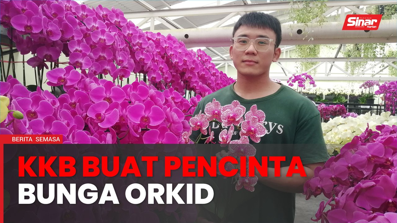 Tempias Prk Lokasi Menarik Kuala Kubu Baharu Jadi Tumpuan Video