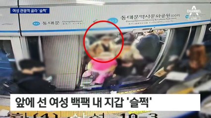 지옥철 외국인 노린 소매치기…전과 19범 구속