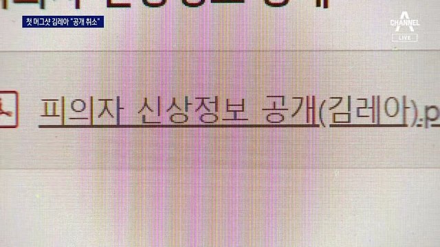 ‘여자친구 살해’ 김레아, 변호인만 10명…“신상 공개 취소” 소송